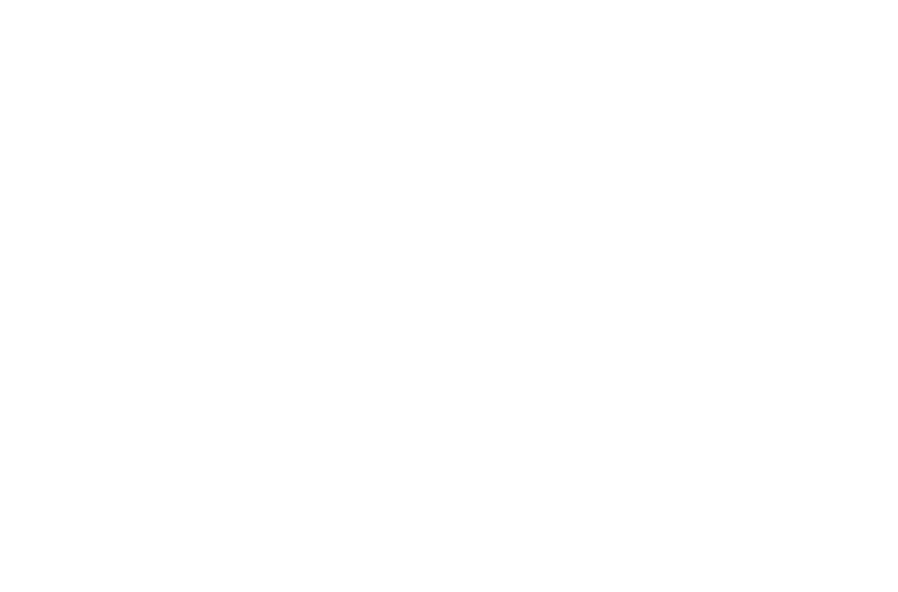 SimplyRestau logo simple
